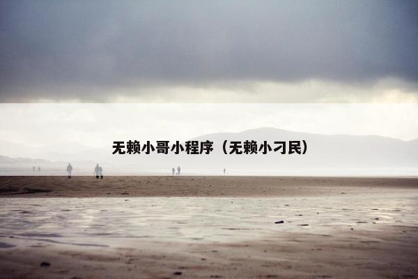无赖小哥小程序（无赖小刁民）