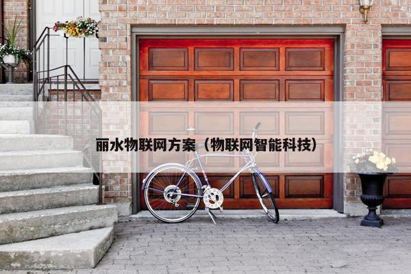 丽水物联网方案（物联网智能科技）