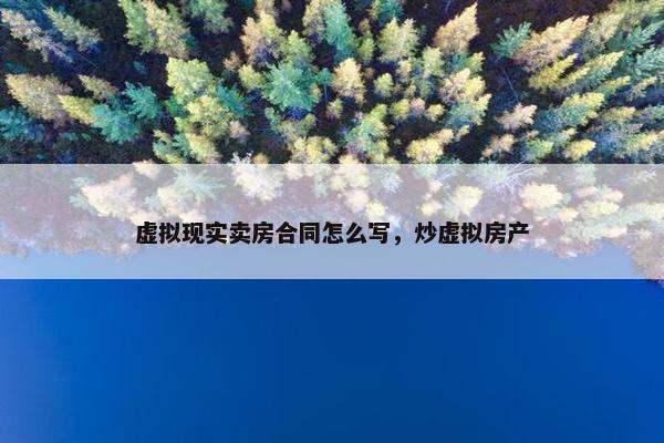 虚拟现实卖房合同怎么写，炒虚拟房产