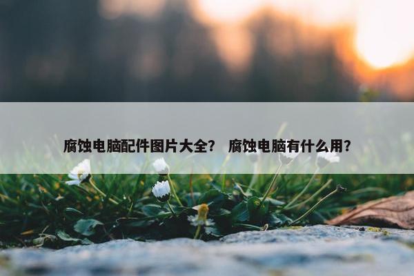 腐蚀电脑配件图片大全？ 腐蚀电脑有什么用？