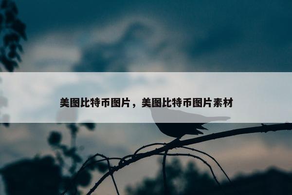 美图比特币图片，美图比特币图片素材