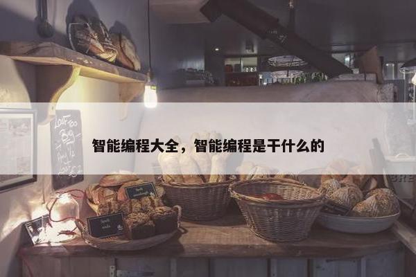 智能编程大全，智能编程是干什么的