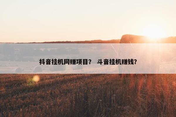 抖音挂机网赚项目？ 斗音挂机赚钱？