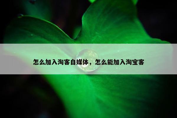 怎么加入淘客自媒体，怎么能加入淘宝客