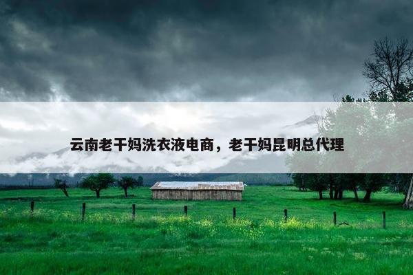 云南老干妈洗衣液电商，老干妈昆明总代理