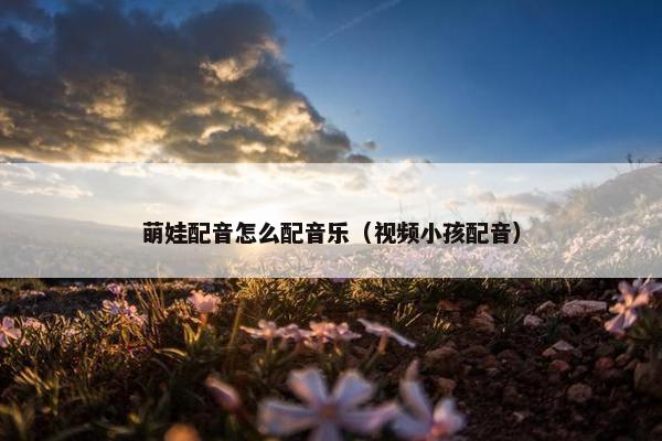 萌娃配音怎么配音乐（视频小孩配音）