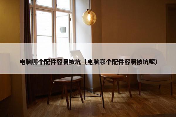电脑哪个配件容易被坑（电脑哪个配件容易被坑呢）