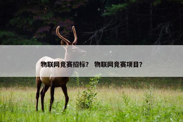 物联网竞赛招标？ 物联网竞赛项目？