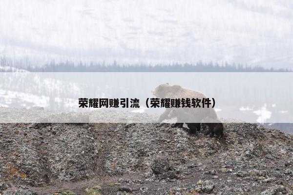 荣耀网赚引流（荣耀赚钱软件）