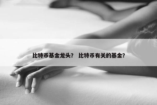 比特币基金龙头？ 比特币有关的基金？