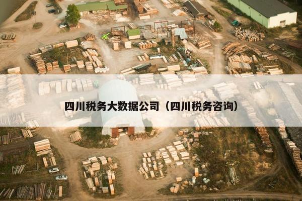四川税务大数据公司（四川税务咨询）