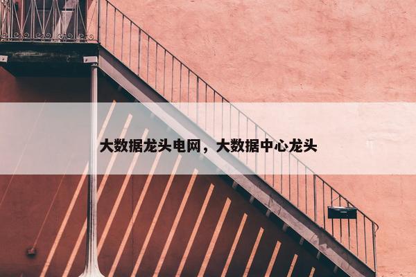 大数据龙头电网，大数据中心龙头