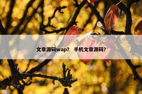 文章源码wap？ 手机文章源码？