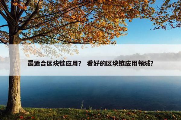 最适合区块链应用？ 看好的区块链应用领域？