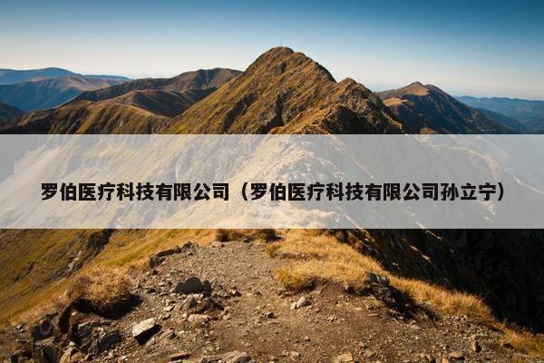 罗伯医疗科技有限公司（罗伯医疗科技有限公司孙立宁）